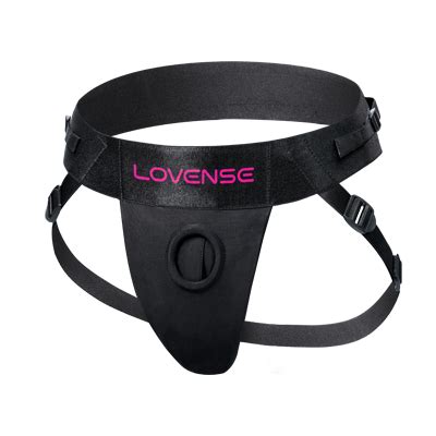 lovense versand hermes
